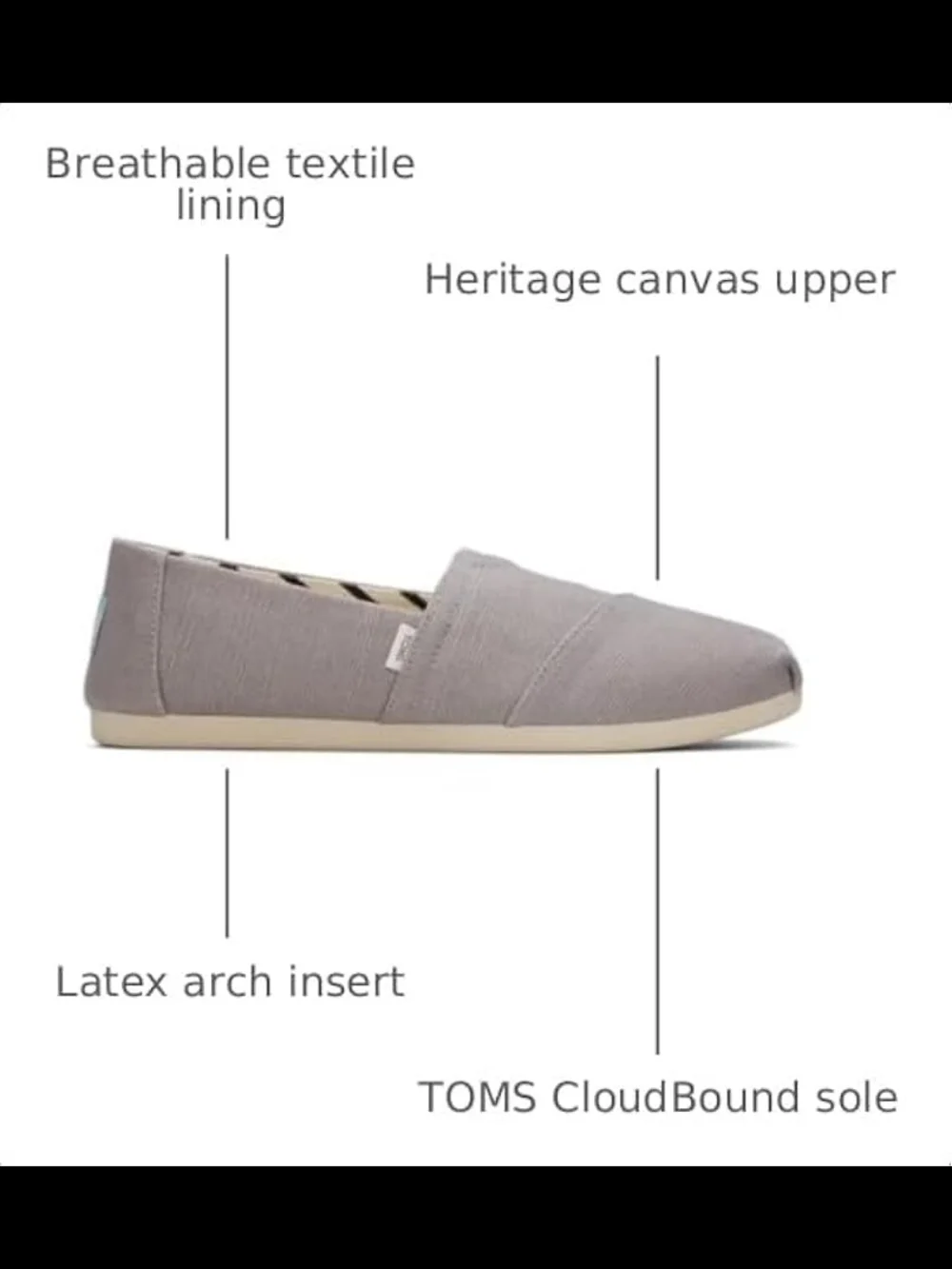 Toms color  morning